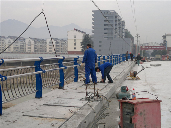 新疆不锈钢桥梁护栏今日价格分析与市场趋势